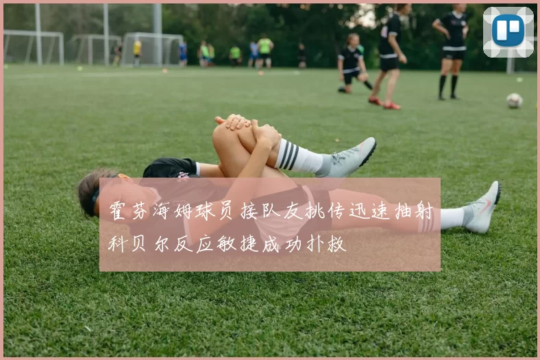 霍芬海姆球员接队友挑传迅速抽射科贝尔反应敏捷成功扑救